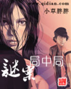谜案局中局